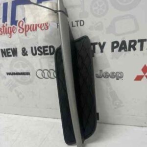 BMW X5 2007 E70 BAR GRILLE INSERT LEFT FRONT