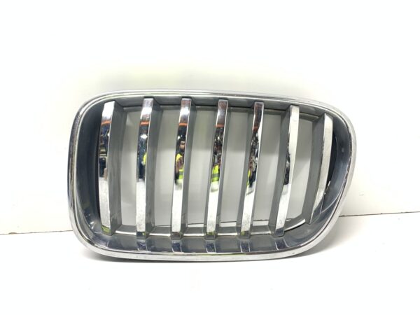 2013, BMW, X3, xDrive20d, F25, Left Front Kidney Grille